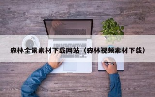 香港森林全景素材下载网站（森林视频素材下载）